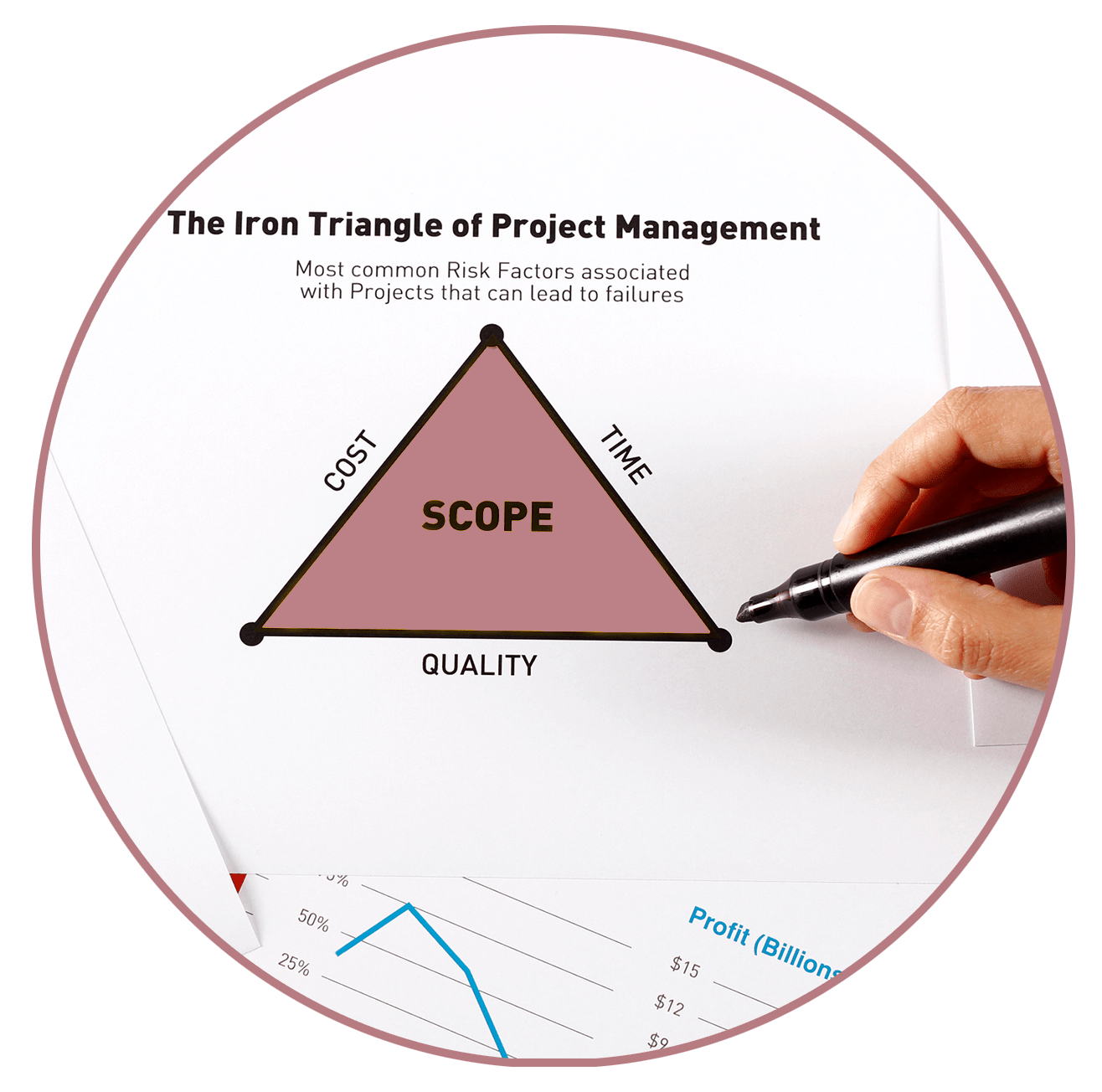 Project_Management_circle2